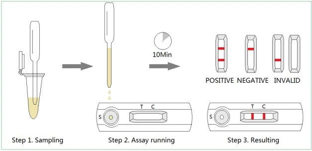 Canine Pregancy Relaxin Rapid Test Canine Pregancy Relaxin Rapid Test