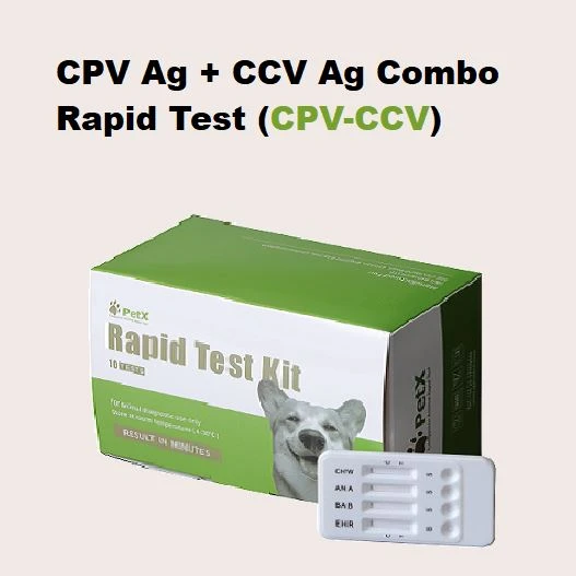 CPV CCV Ag